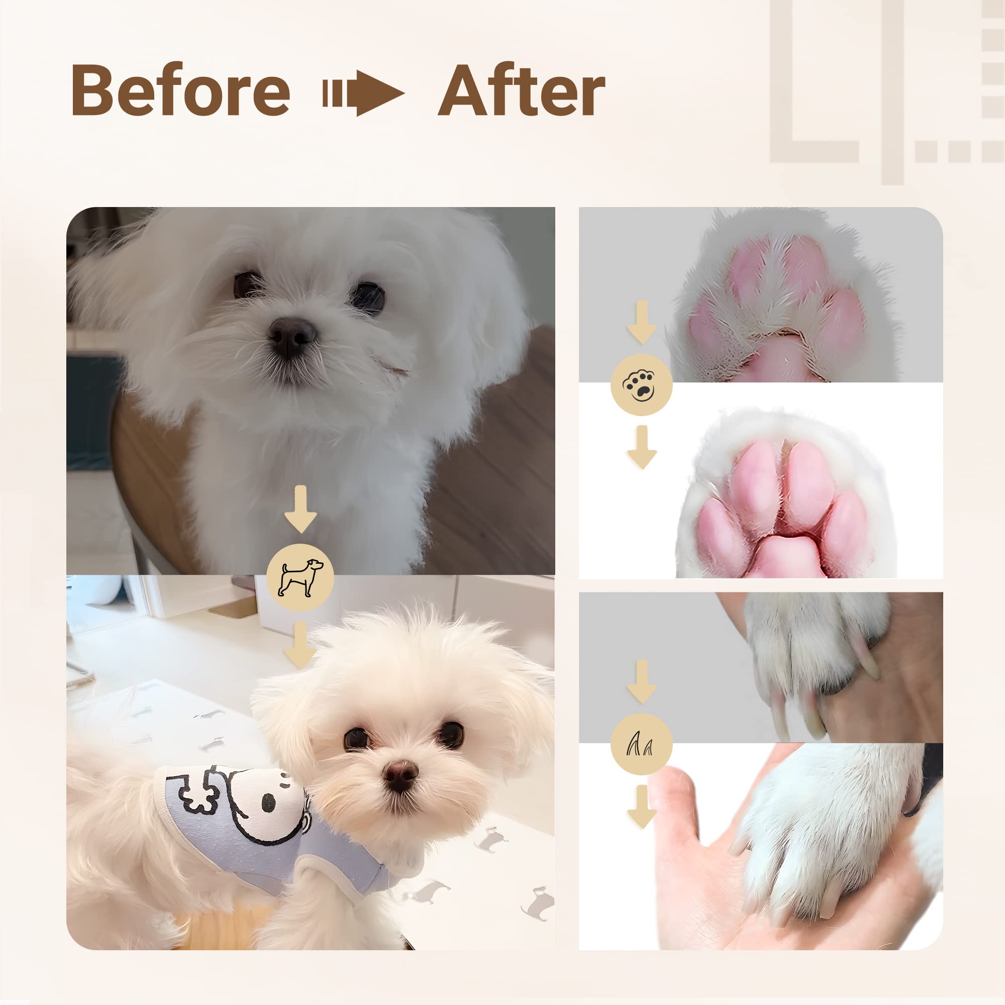 4-in-1 Pet Care Kit – Calm and Safe Grooming to Enhance Your Bond