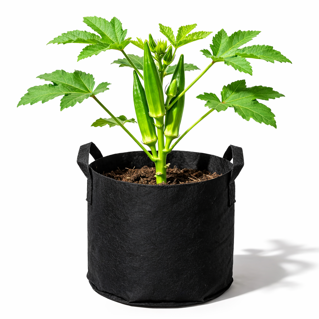 EcoGrow Fabric Planter Bags for Thriving Root Systems