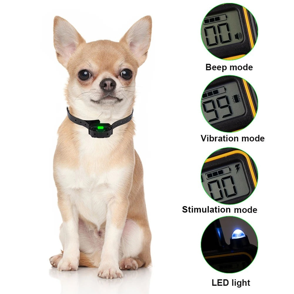 Waterproof Rechargeable Dog Training Collar with Remote Control