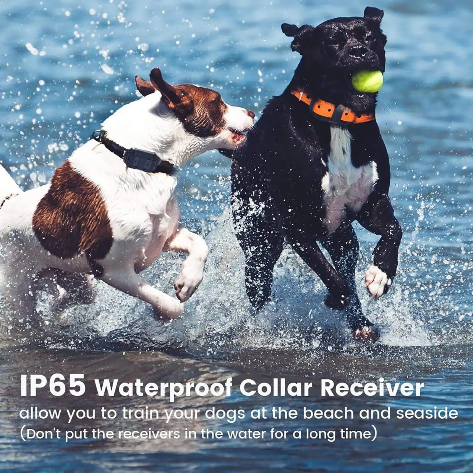 Waterproof Rechargeable Dog Training Collar with Remote Control