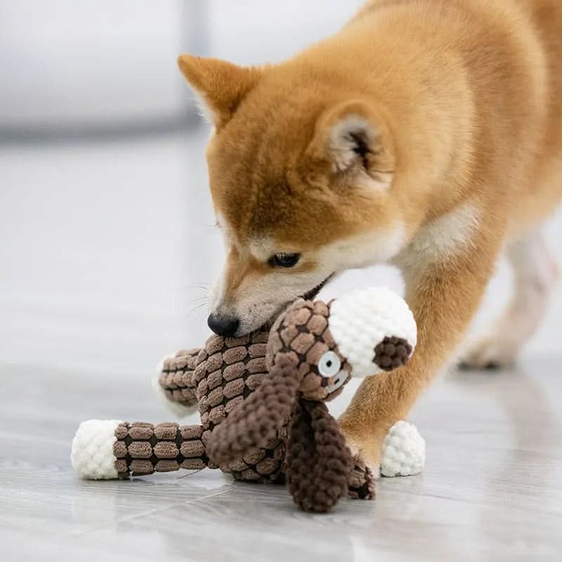 Durable Plush Squeaky Dog Toy for Heavy Chewers
