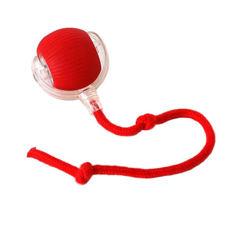 Rechargeable Playful Paws Ball for Dogs