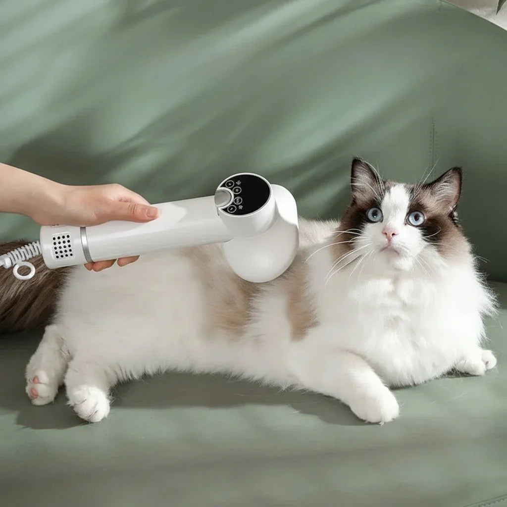 Pet-Friendly Hair Dryer for Effortless Grooming