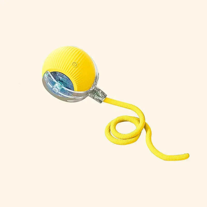 PetJoy Sphere – Engaging Smart Toy for Cats and Dogs