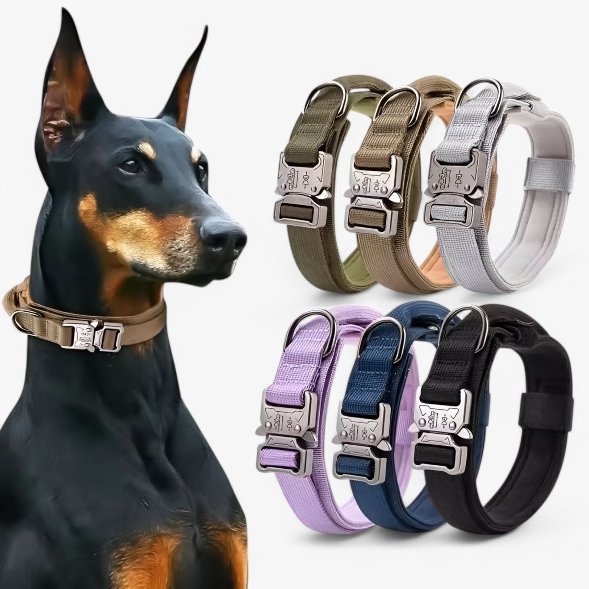 Versatile Adjustable Canine Collar Set – Perfect for Training and Daily Adventures