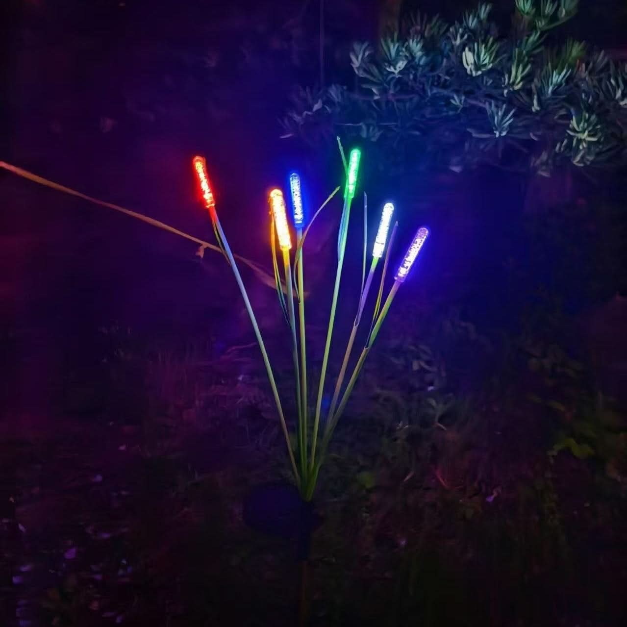 Solar Garden Lights for Outdoor Landscape Decoration