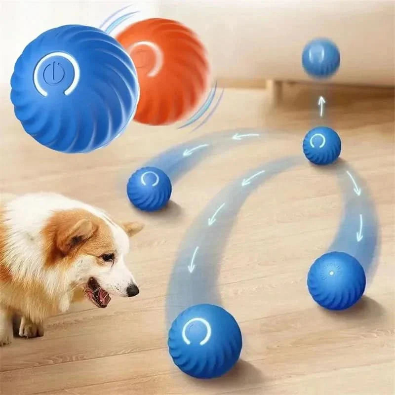 Rechargeable Playful Paws Ball for Dogs