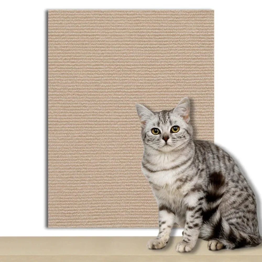 Transparent Scratch Shield to Protect Your Home from Cats