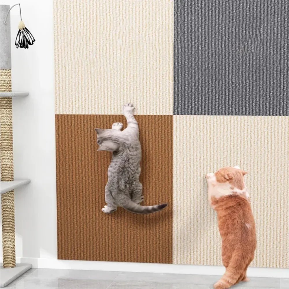 Transparent Scratch Shield to Protect Your Home from Cats