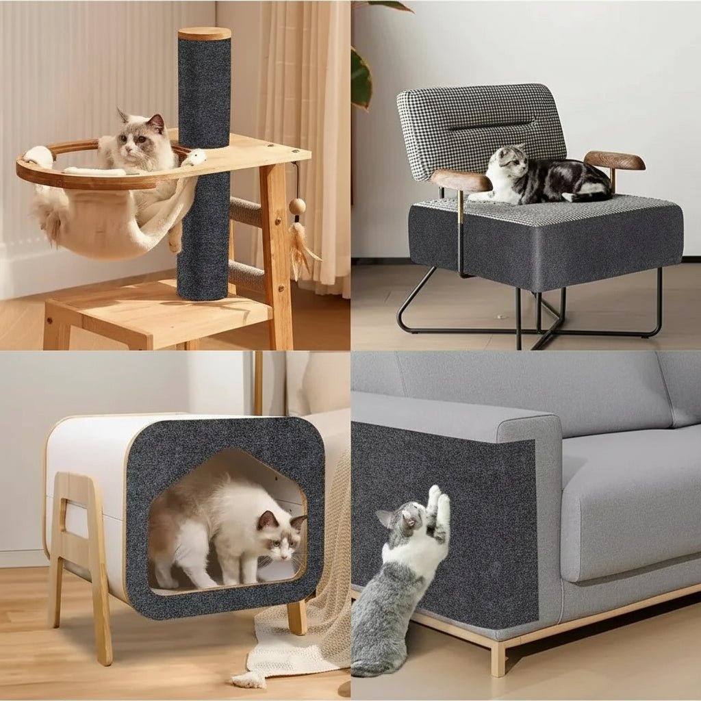 Transparent Scratch Shield to Protect Your Home from Cats