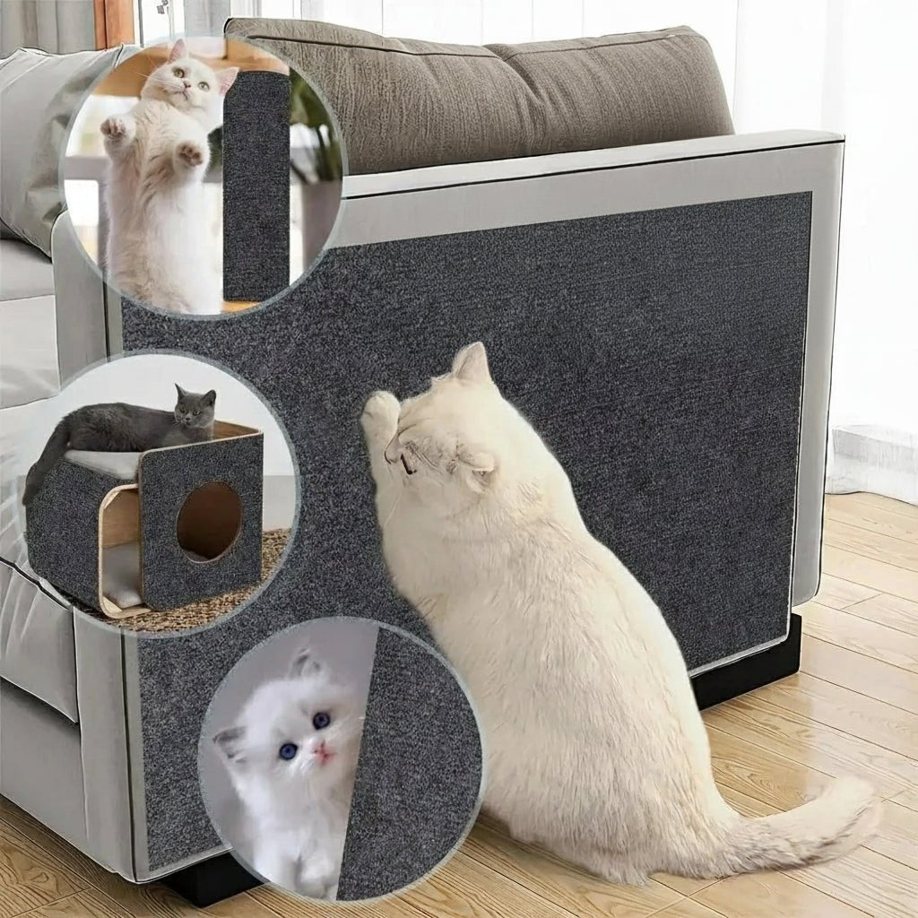 Transparent Scratch Shield to Protect Your Home from Cats