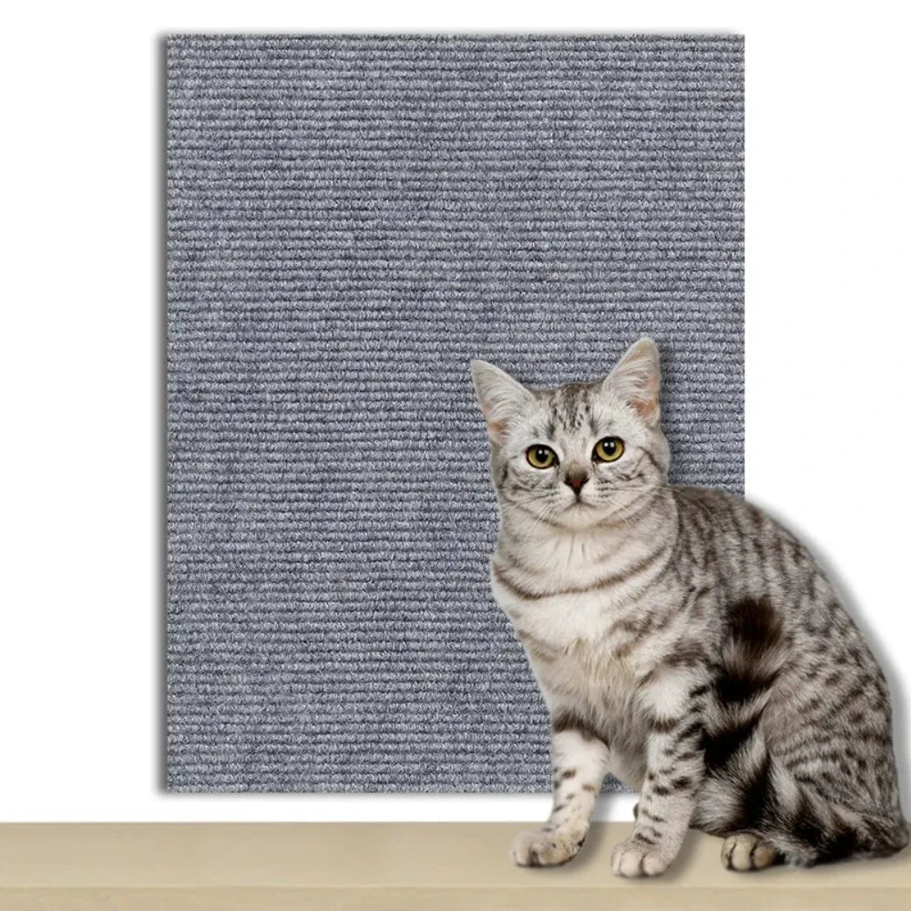 Transparent Scratch Shield to Protect Your Home from Cats