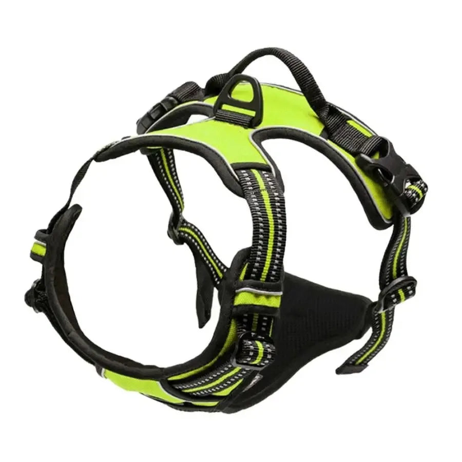 Chic Canine Bundle – Premium Leather Collar, Harness & Leash