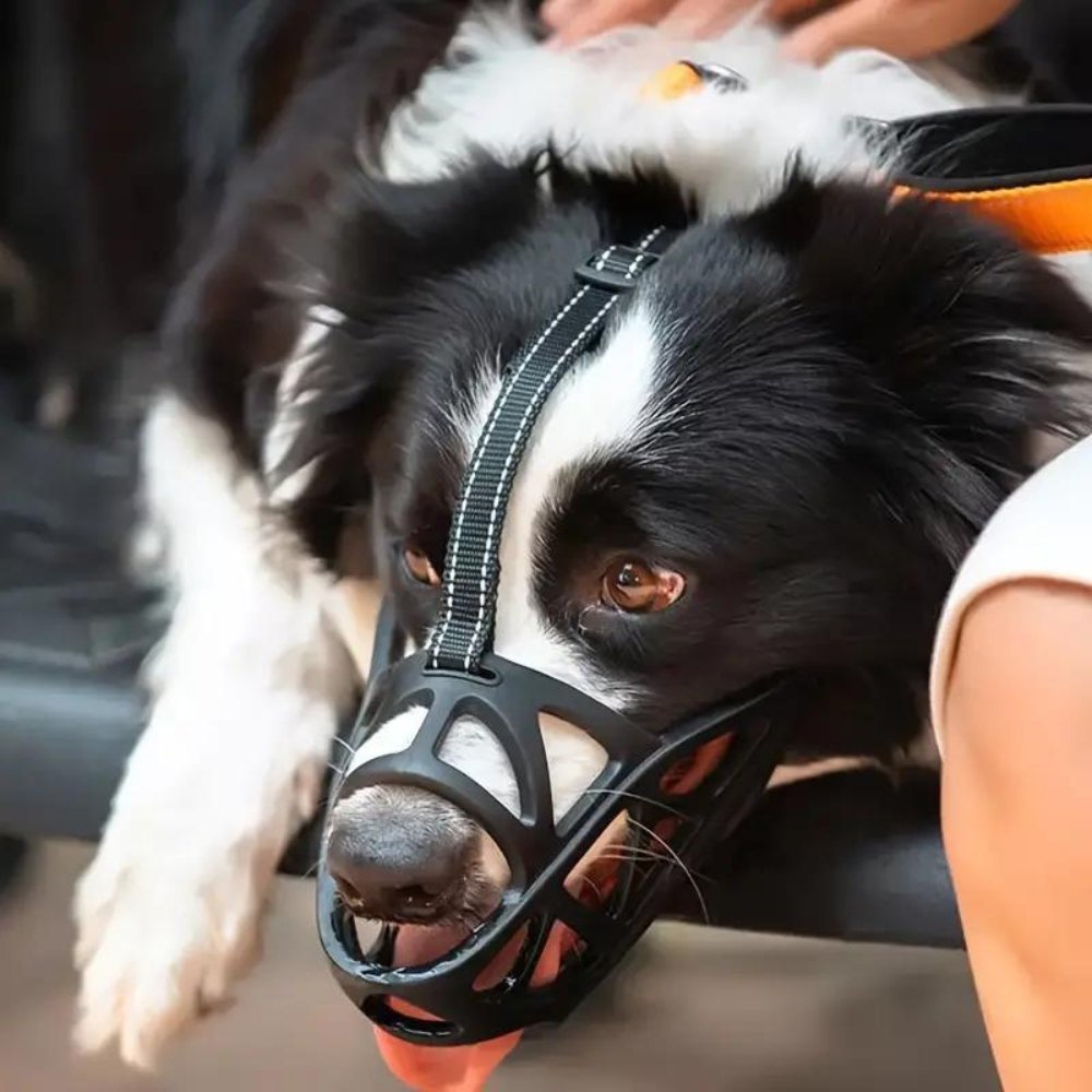 Comfortable Dog Muzzle for Everyday Safety and Control