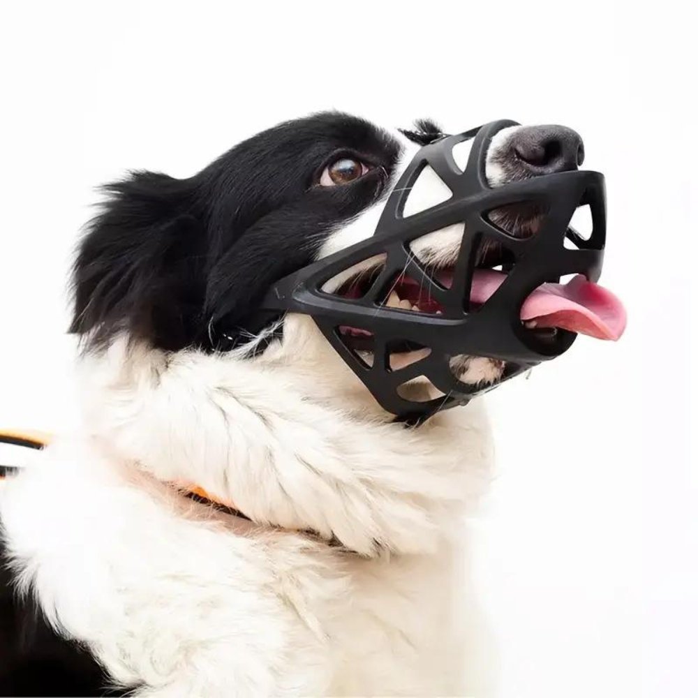 Comfortable Dog Muzzle for Everyday Safety and Control