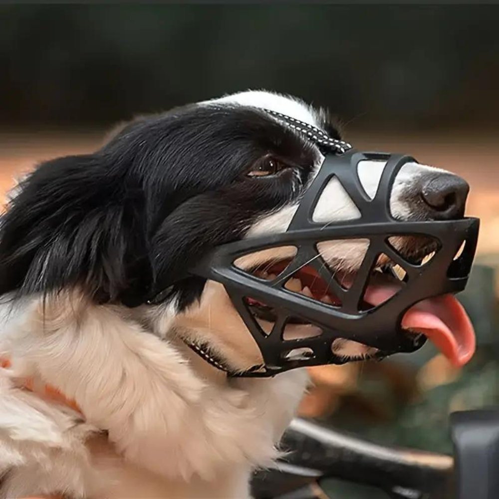 Comfortable Dog Muzzle for Everyday Safety and Control