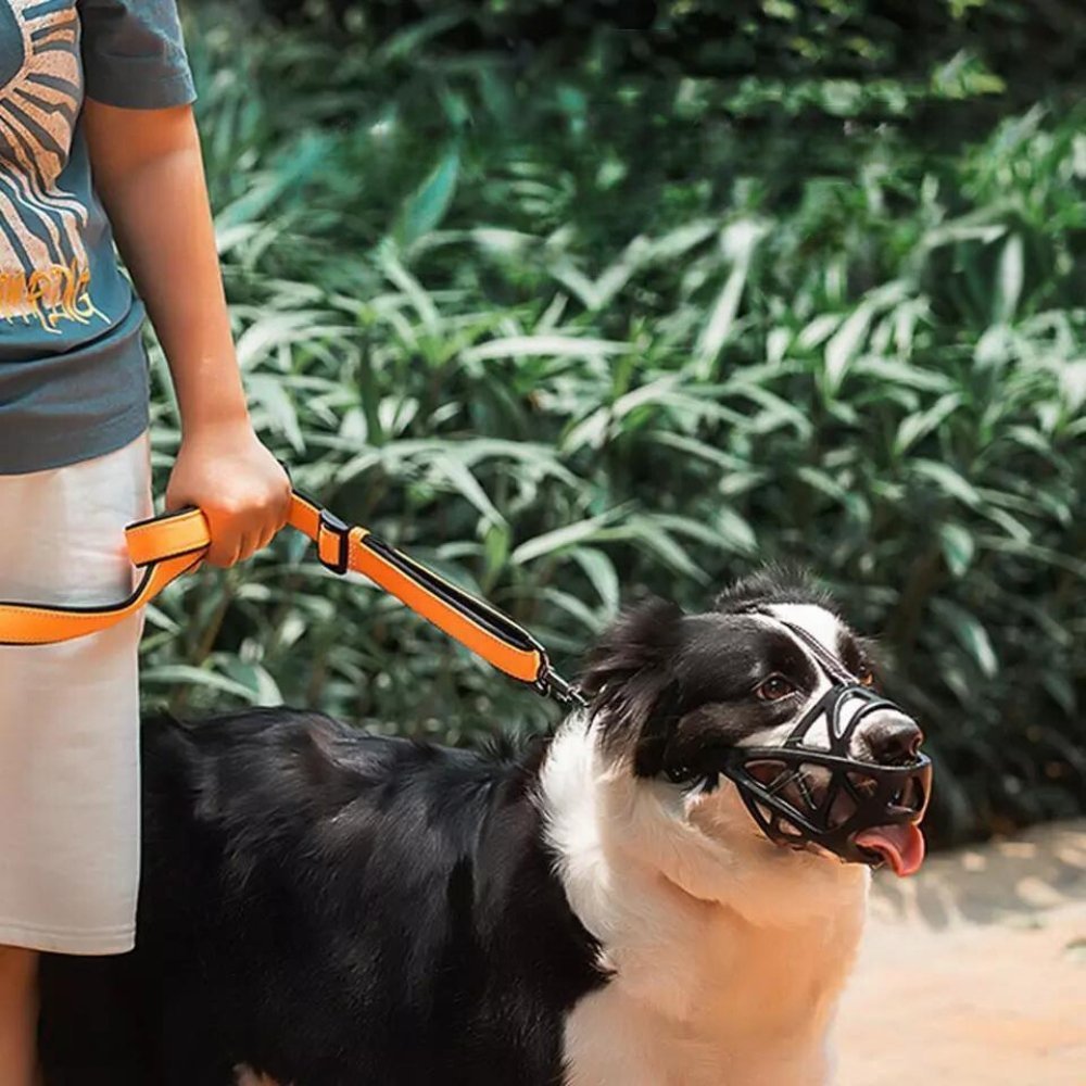 Comfortable Dog Muzzle for Everyday Safety and Control