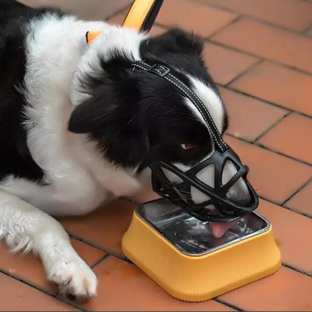 Comfortable Dog Muzzle for Everyday Safety and Control
