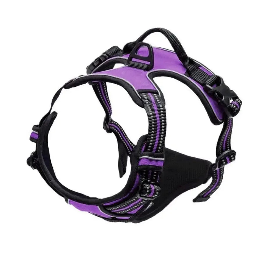 Chic Canine Bundle – Premium Leather Collar, Harness & Leash
