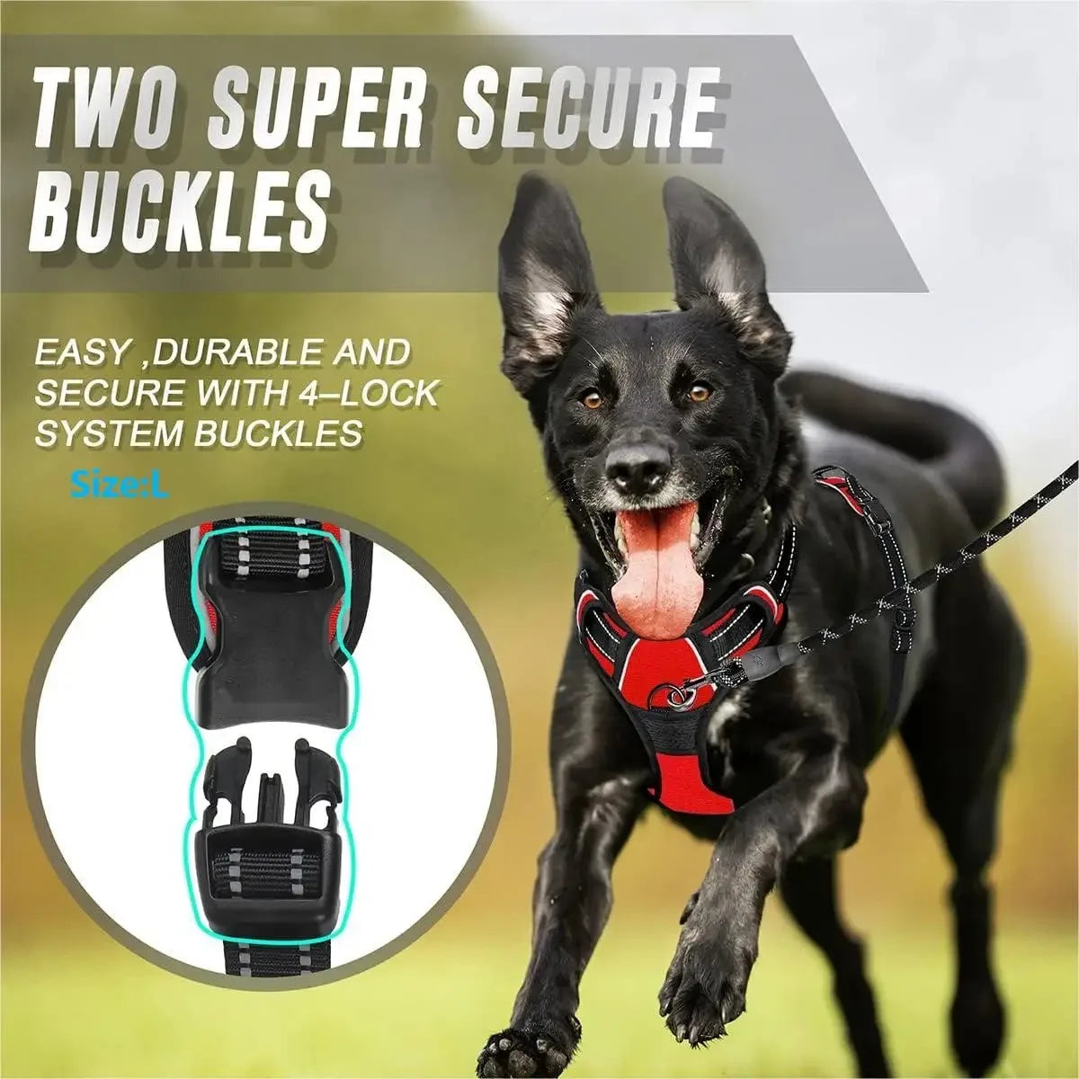 Chic Canine Bundle – Premium Leather Collar, Harness & Leash
