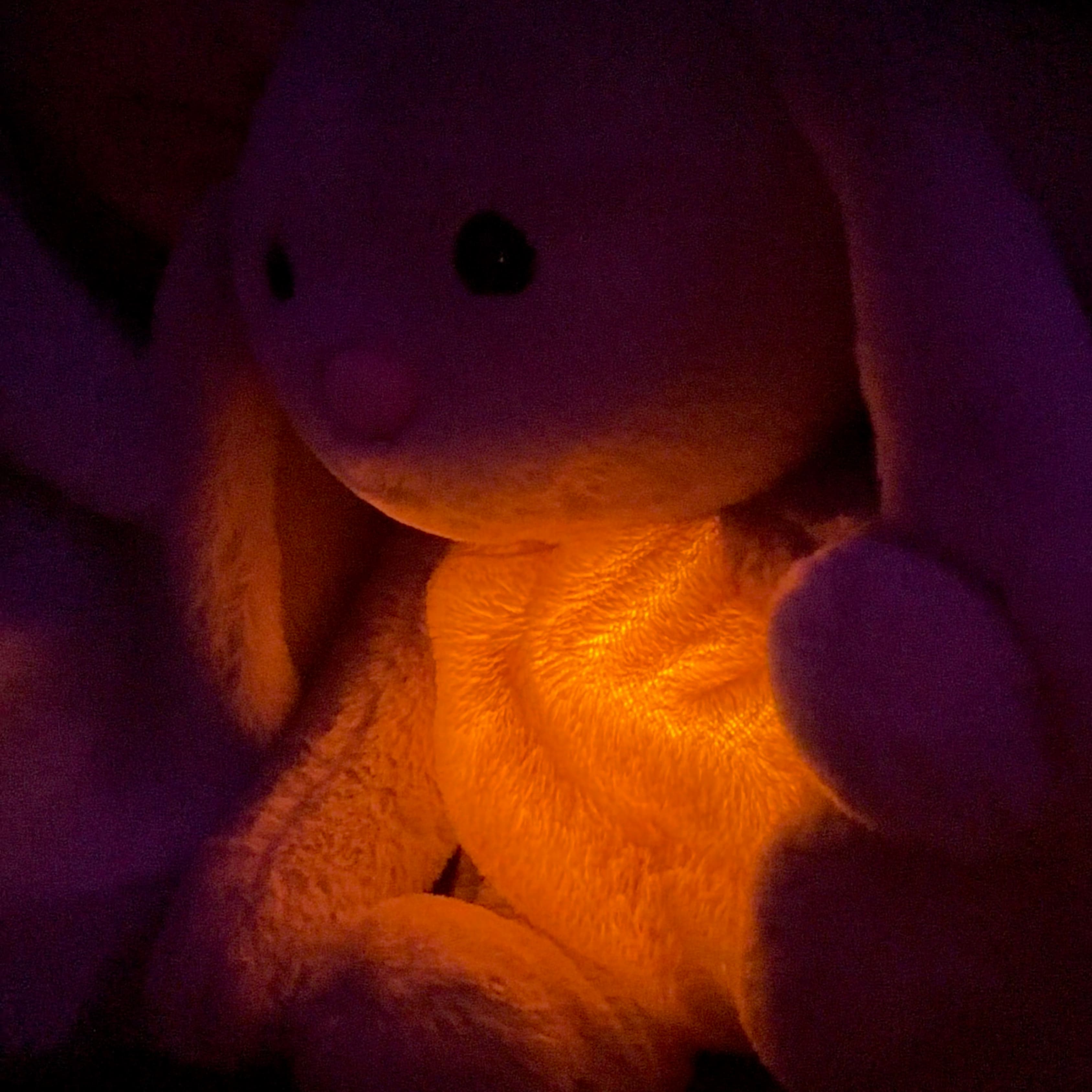 Soothing Plush Bunny | Relaxing Companion for All Ages