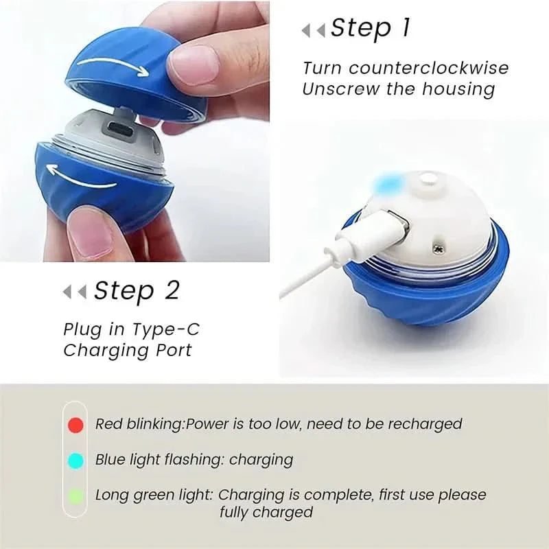 Rechargeable Playful Paws Ball for Dogs