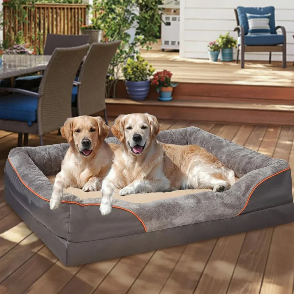Elevated Waterproof Dog Bed with Premium Memory Foam Support