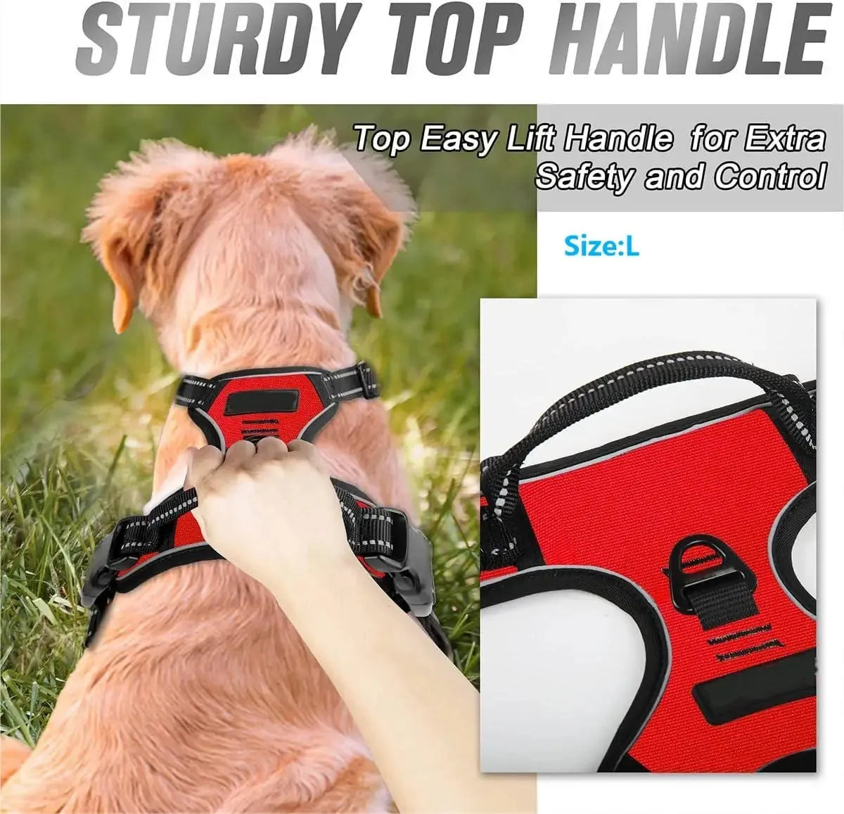 Chic Canine Bundle – Premium Leather Collar, Harness & Leash