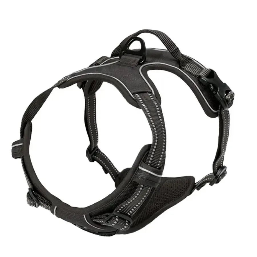Chic Canine Bundle – Premium Leather Collar, Harness & Leash