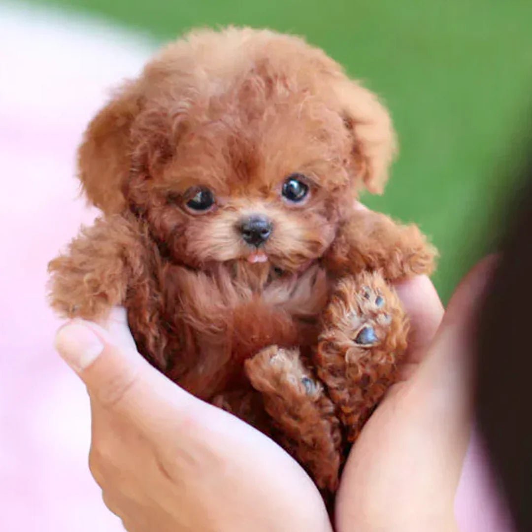 PawMate Lifelike Plush Puppy: Your Soft, Cuddly Friend