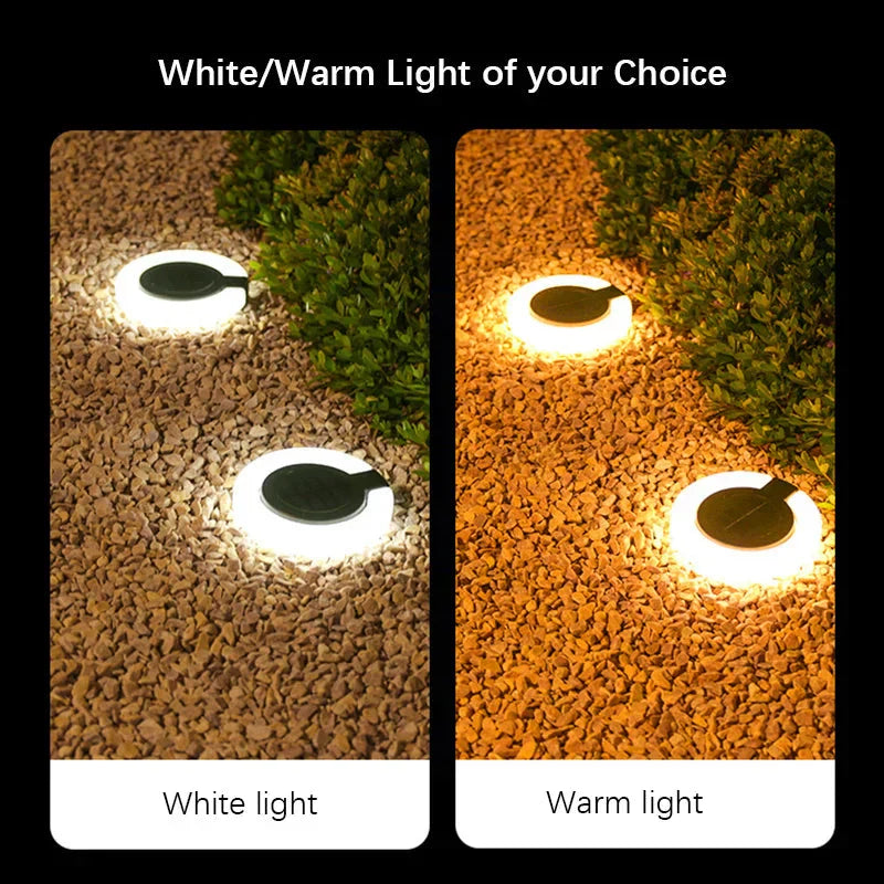 Solar Ground Light | 360-Degree Adjustable | Automatic Dusk Sensor