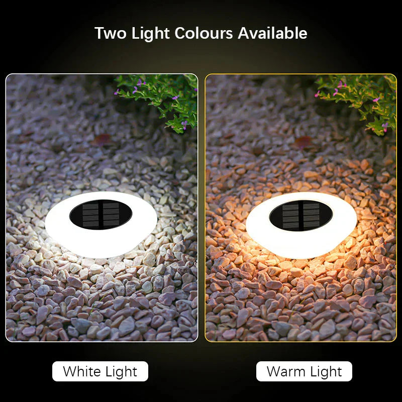 Solar Ground Lights with Automatic Dusk Sensor | Even Light Circle
