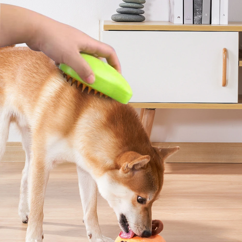 Pet Handheld Steam Brush for Easy Grooming