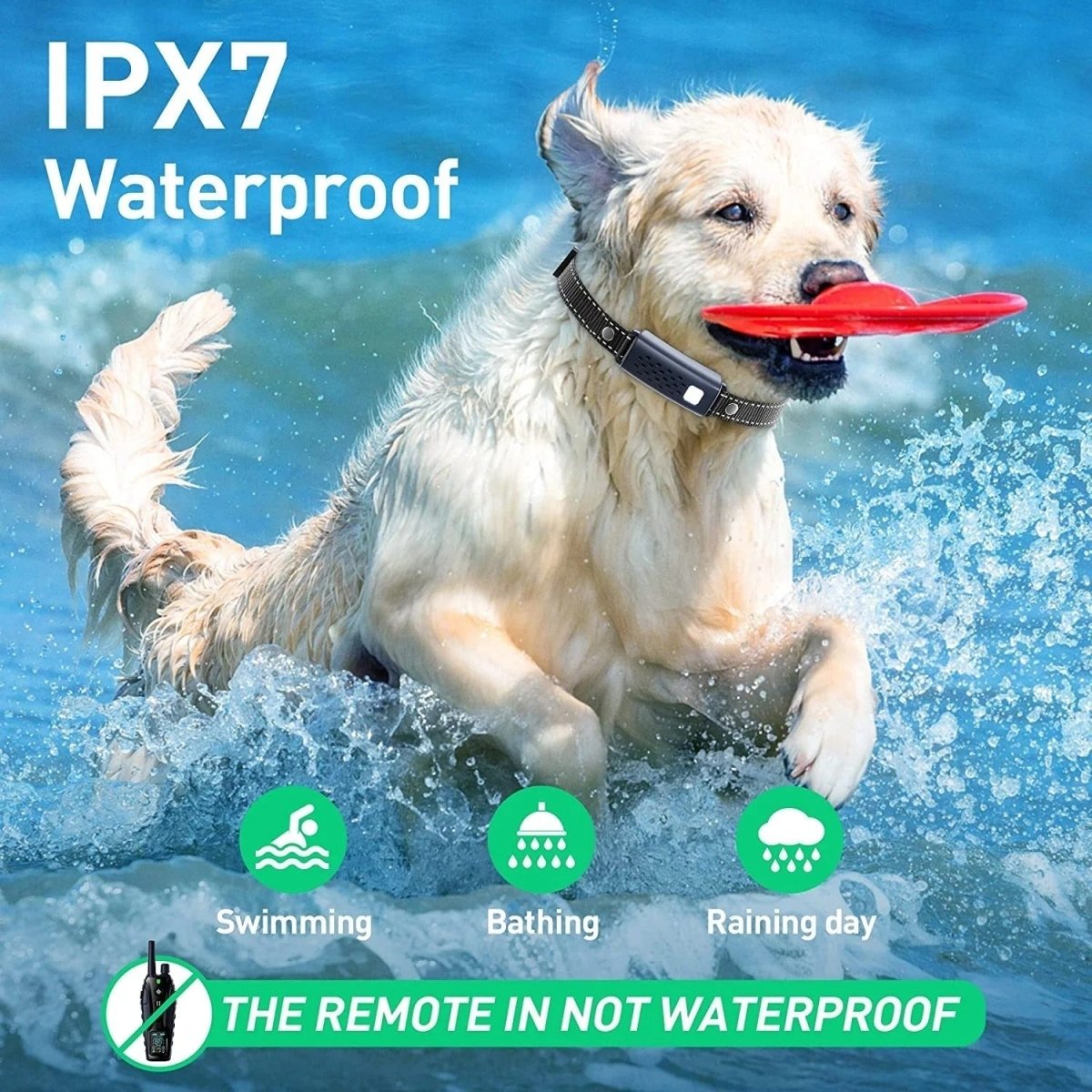 All-Weather Remote Dog Training Collar with 2000m Range