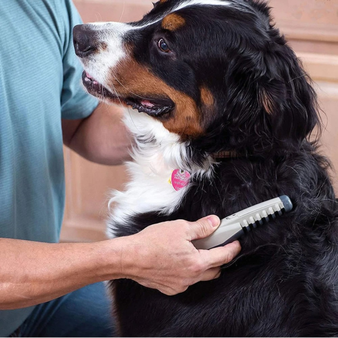 Effortless Grooming Brush for Cats and Dogs – Tangle-Free Care