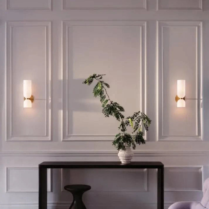 Elegant Dual-Head Wall Light with Glass Shades