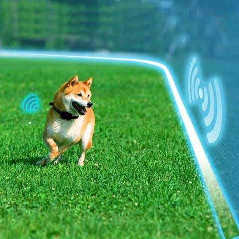 Portable Pet Containment System with Remote Control - 500m Range