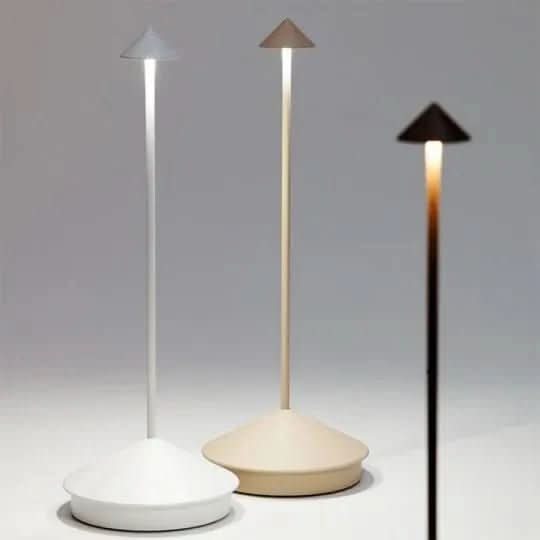 Dimmable Indoor and Outdoor Lighting for Ambience