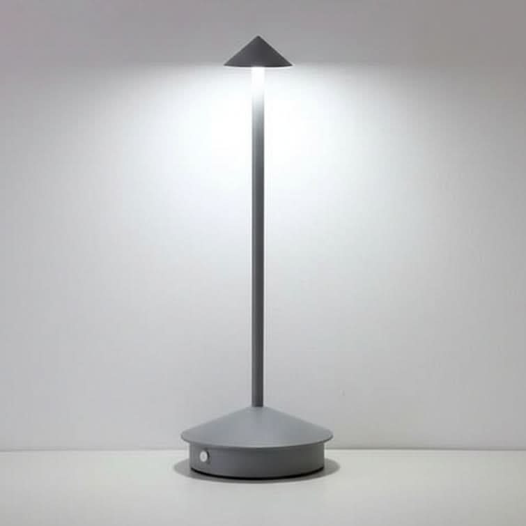 Dimmable Indoor and Outdoor Ambient Light