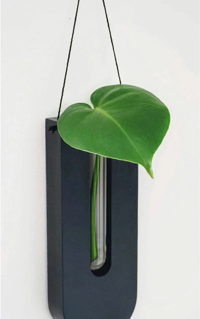 Rustic Elegance Wall Plant Holder Set for Indoor Greenery