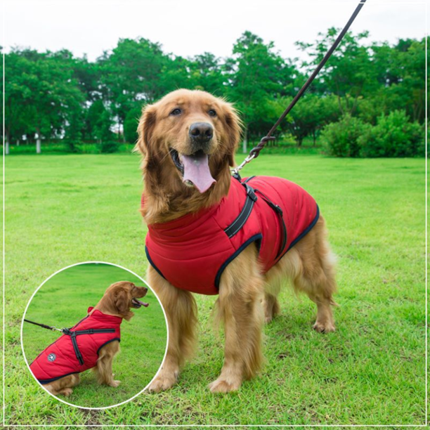 CanineGuard - Insulated Waterproof Dog Jacket with Harness Feature