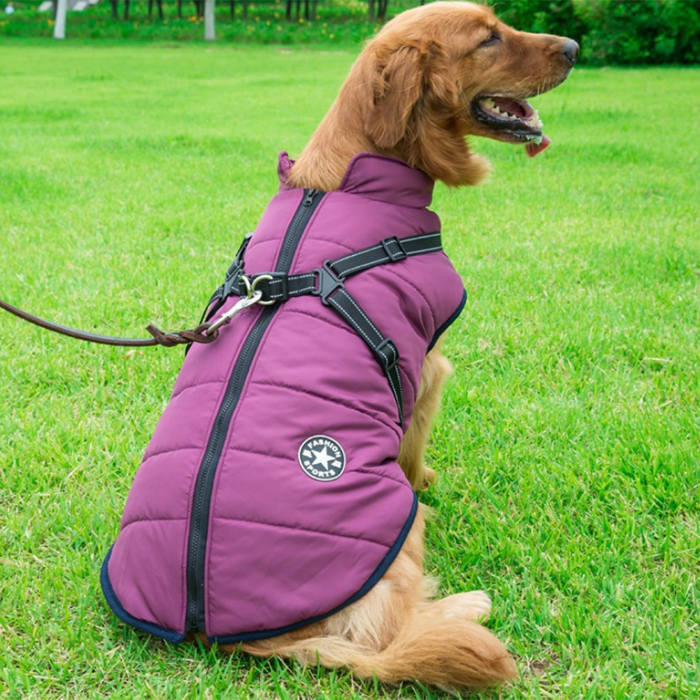 CanineGuard - Insulated Waterproof Dog Jacket with Harness Feature