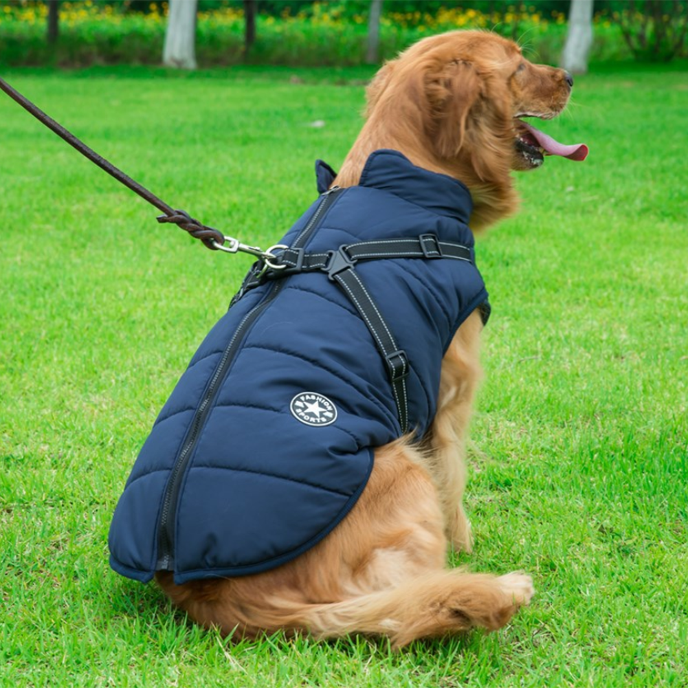CanineGuard - Insulated Waterproof Dog Jacket with Harness Feature