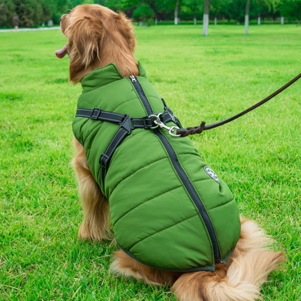 CanineGuard - Insulated Waterproof Dog Jacket with Harness Feature
