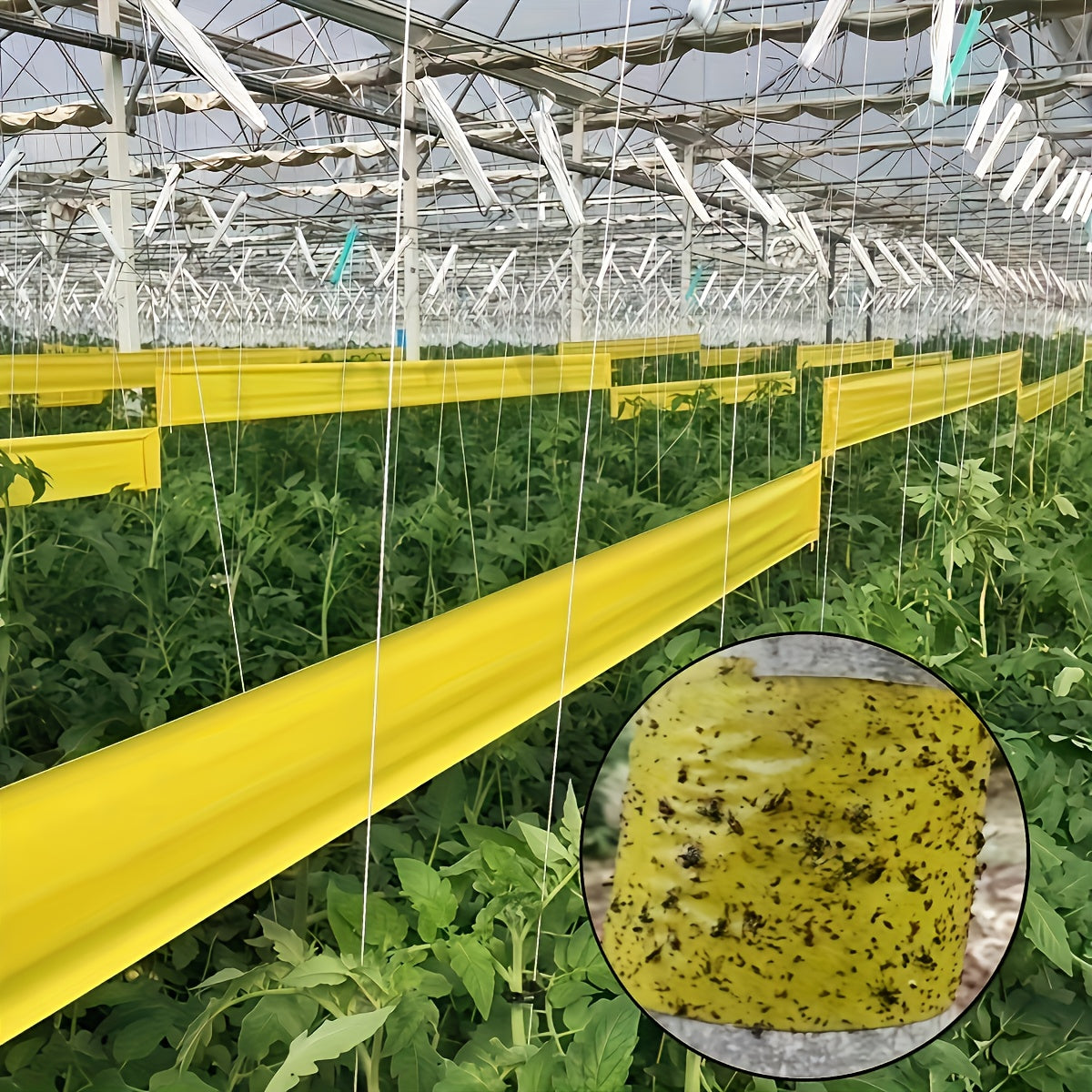 NatureGuard – Protective Insect Barrier Tape for Outdoors