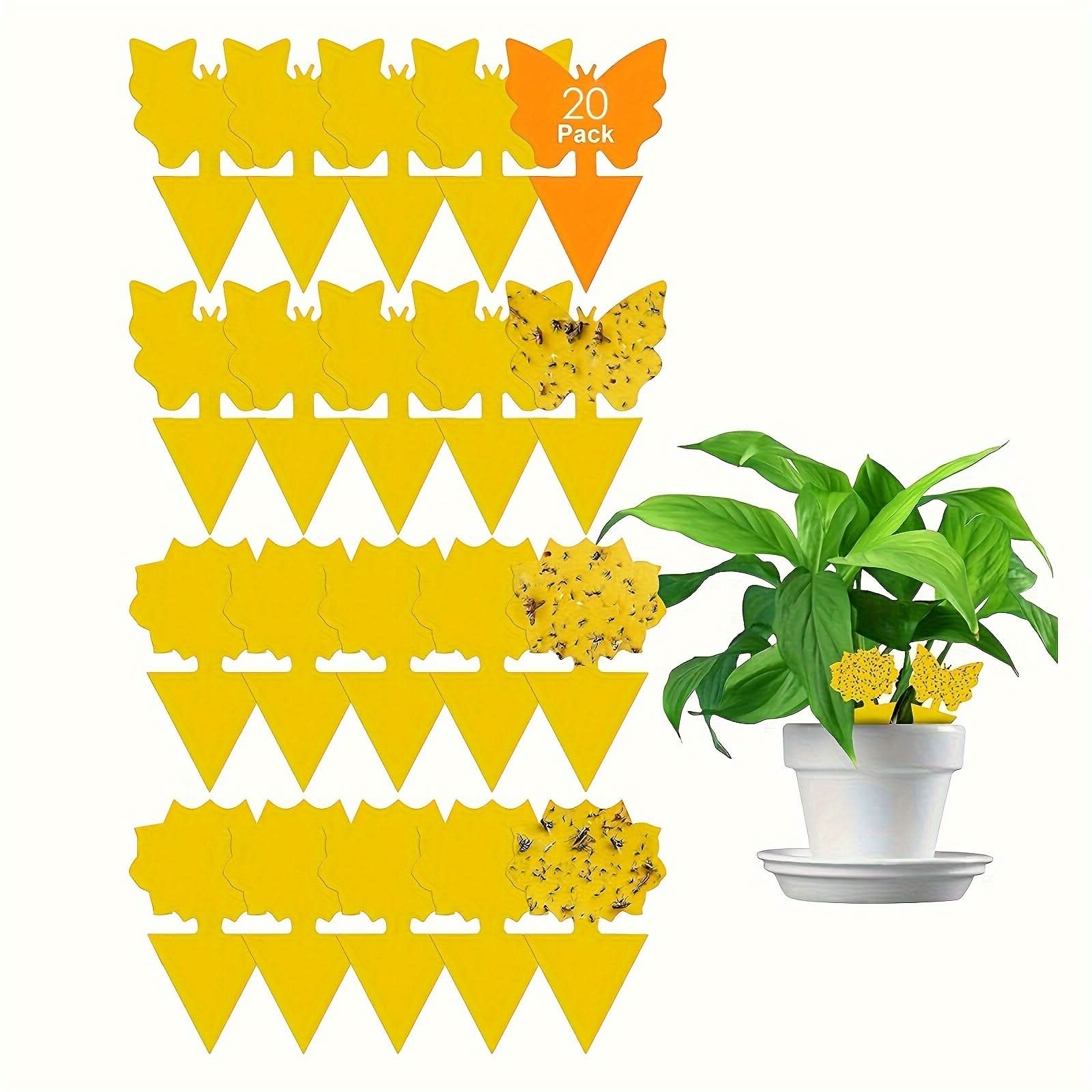 Yellow Plant Traps for Flying Insects and Fungus Gnats