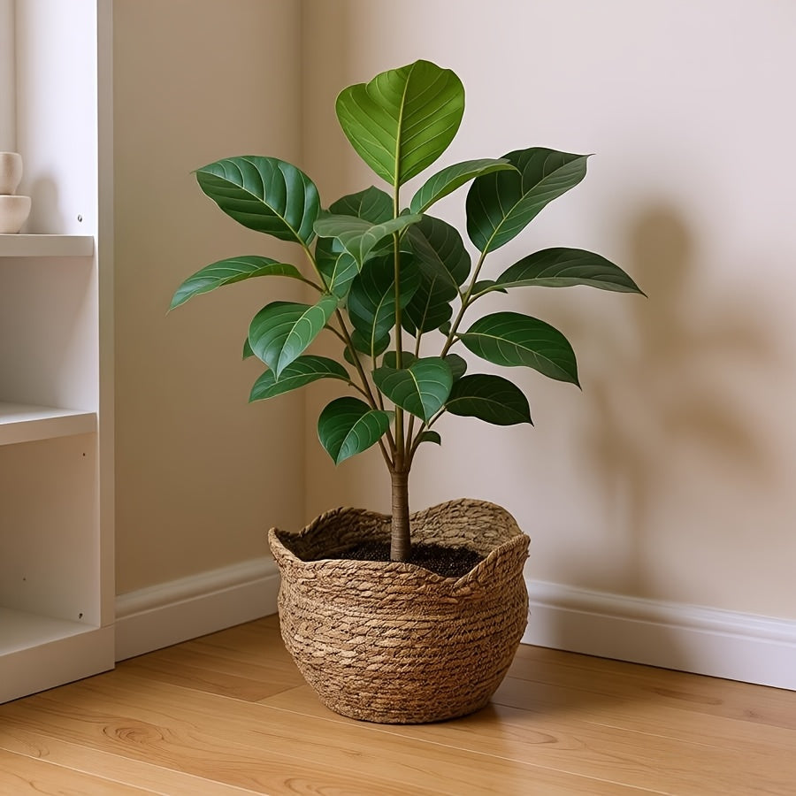 Woven Haven – Artisan Rattan Planter for Cozy Indoor Decor