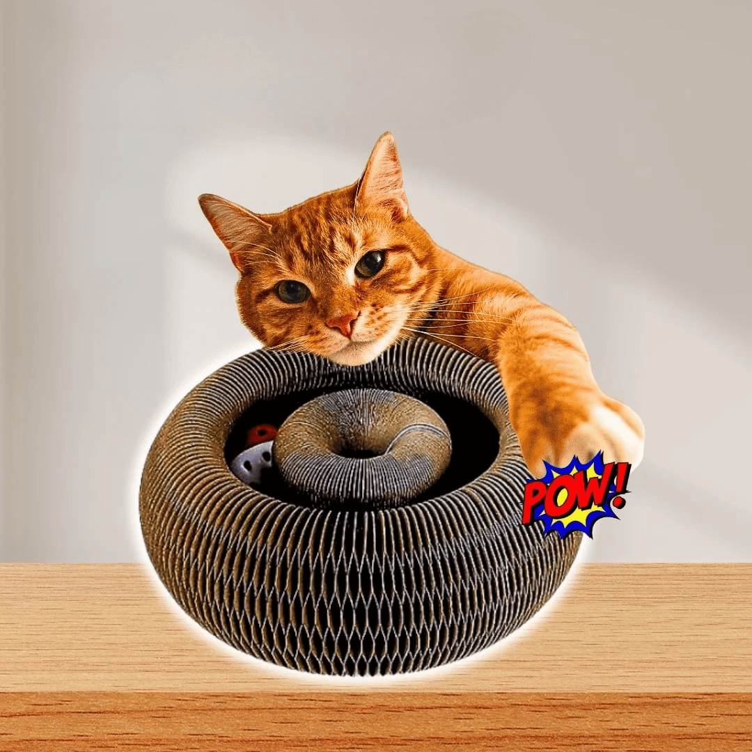 FelineFury™ — Ignite Your Cat’s Wild Side and End Boredom Forever