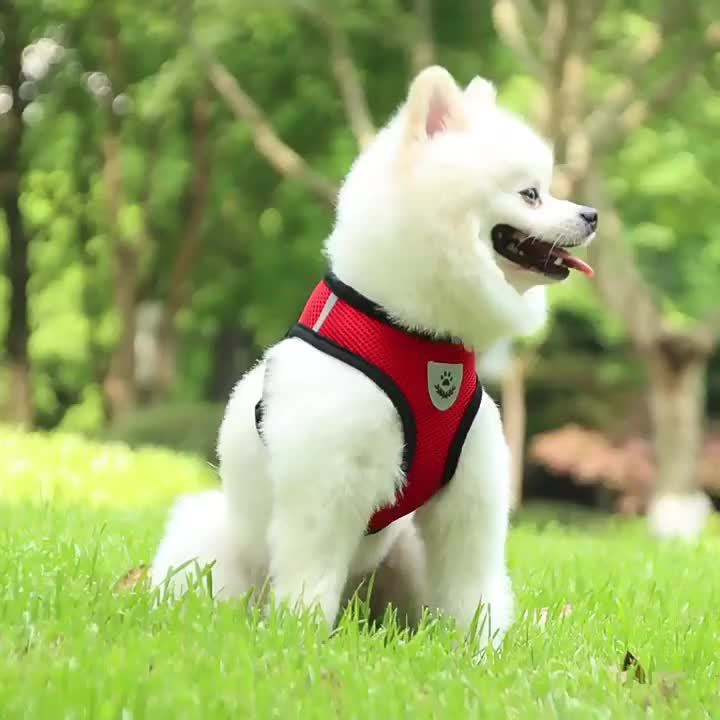 IllumiPet - Reflective Safety Vest with Leash for Pets