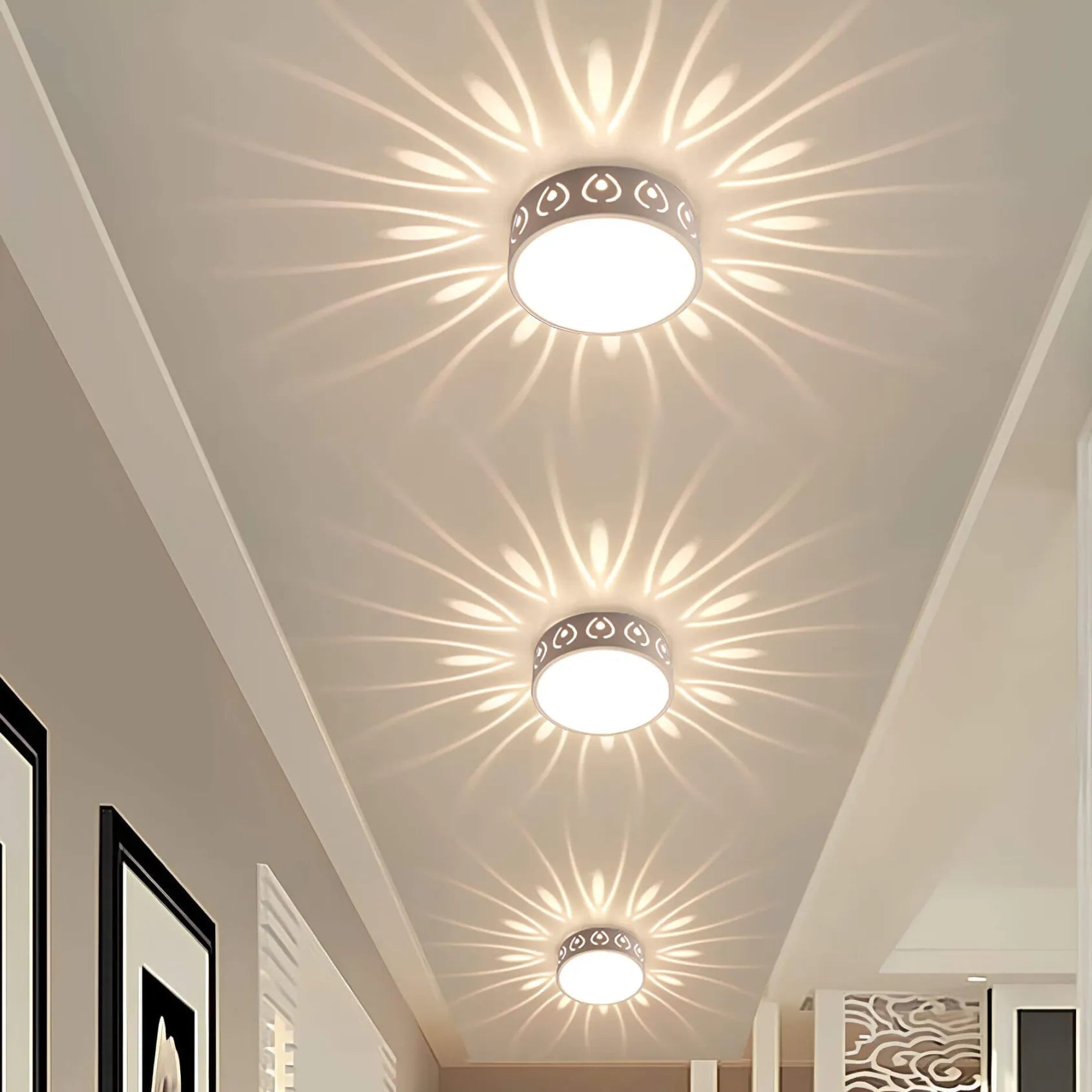 LED Ceiling Light Fixture